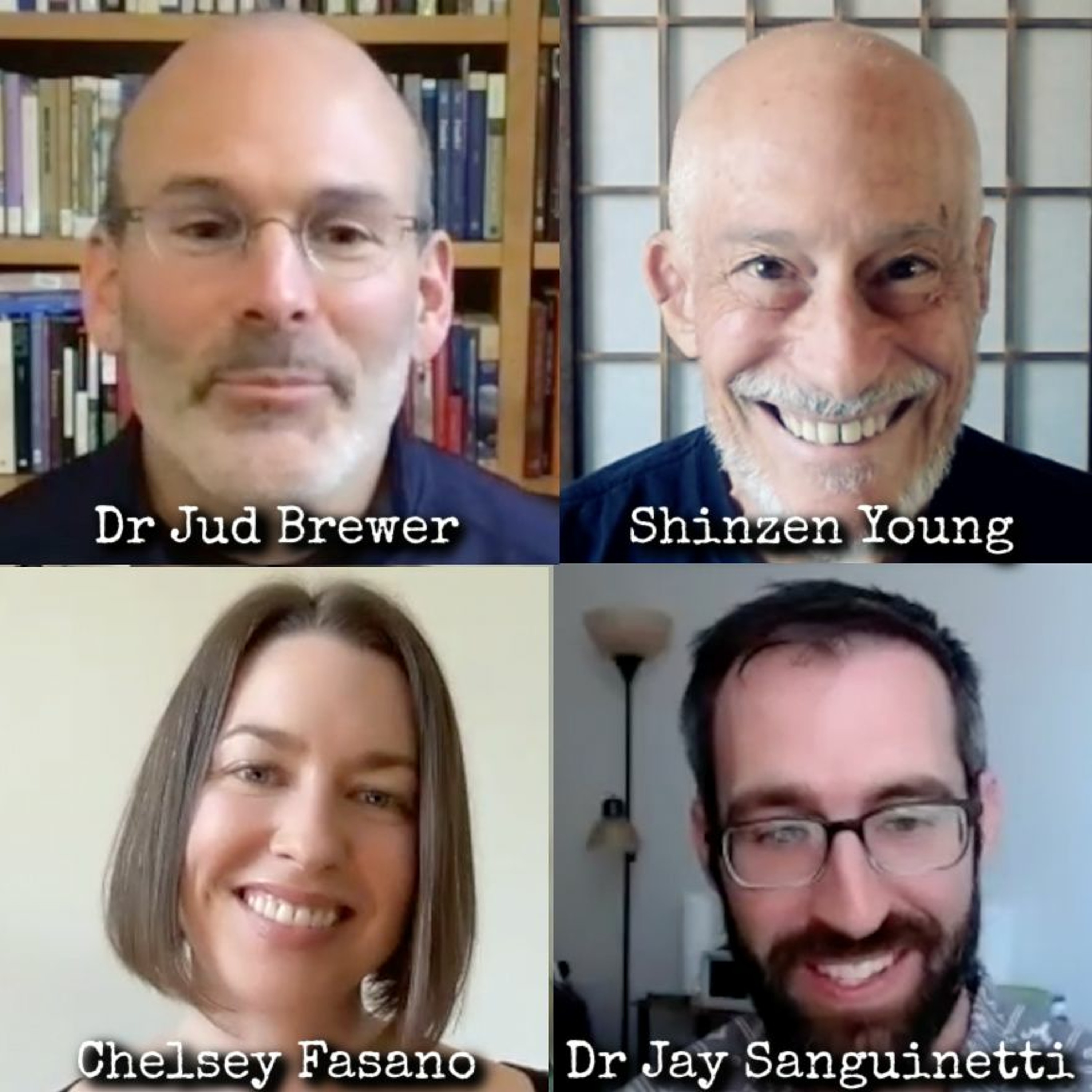 Ep128: Pioneering Science - Dr Jud Brewer, Shinzen Young, Chelsey Fasano, & Dr Sanguinetti