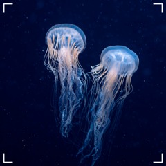 Caspian Sea - Original Mix