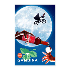 Gambinashamans