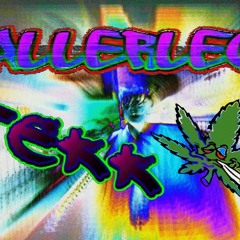 Ballerleo - GeiLe - Töne - FeTTe - KicKs - -195BPM-