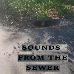 Sewer Fish (Sound From The Sewer OUT NOW!!!)