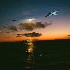 Como La Flor w/ Jazmin 220925