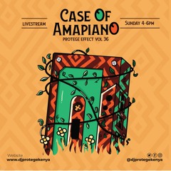 Dj Protege - Case Of Amapiano PE Vol 36
