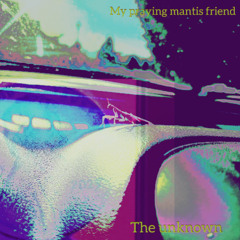 My praying mantis friend
