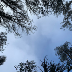 Not My Fault (Prod. KontraBandz)