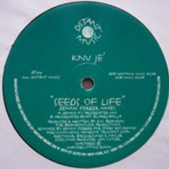 Seeds Of Life(MIYA's Broken Beats Mix)-Knu Je