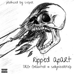 ripped apart ft. codyneedshelp (prod. by cvsper beats)