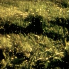 Angeles Crest Highway - Fifty Grand (Remix) (ReMasterd)