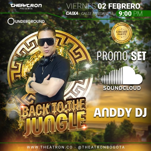 Stream DJ Anddy THEATRON Back To The Jungle 02.02.2024 by