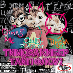 тимоха кибер тайп флоу 2