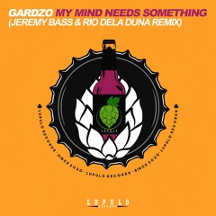 My Mind Needs Something (Jeremy Bass & Rio Dela Duna Extended Remix)