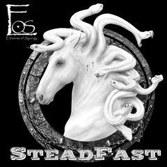 SteadFast *percussion