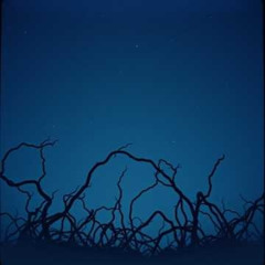 Vineyard Shadows (DJP)