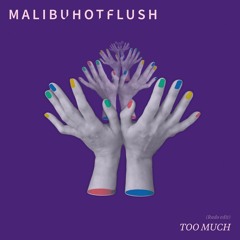 Malibu Hot Flush - Too Much (Radio Edit)