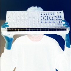 Arnie Barnie - Monosynth