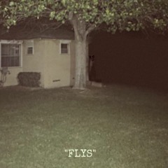 "FLYS"