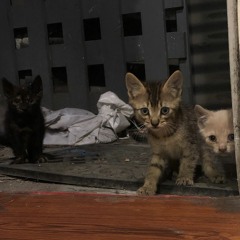 György Ligeti - Études for Piano - Book 1 - No - 5 - Synthesizer Version