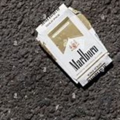 Marlboro (junebug)