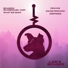 PREMIERE: Brandon Scarbrough, Vaer - What We Want (Deepness Remix)