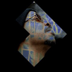 Signals vol. 32 Norm Talley presents  Detroit Deep