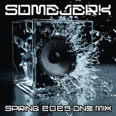 Spring 2025 DNB Mix