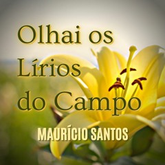 OLHAI OS LÍRIOS DO CAMPO - Maurício Santos