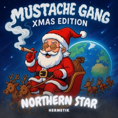 Northern Star - Radio Edit