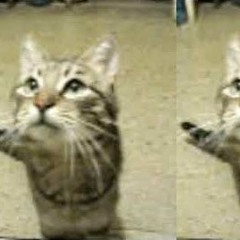 two cats in ipanema by Dan* (youtube)