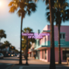 Through the Streets of Florida