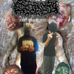 THE FIVE STAGES OF DECOMPOSITION EP.m4a