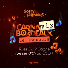 Dj WIL'M - Carnamix de Bordeaux : le Concours !