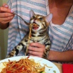 Southbound (Freestyle)