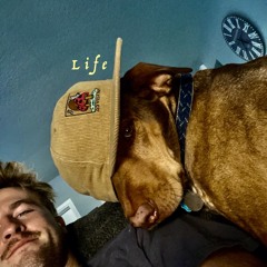 L i f e