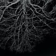 Tenebrae