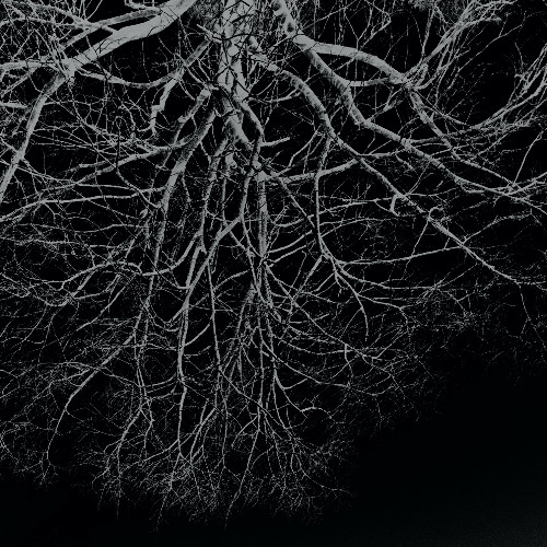 Tenebrae