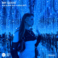 BBY GOOSE - 05 April 2025