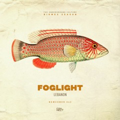 foglight @ Newcomer #042 - Lebanon