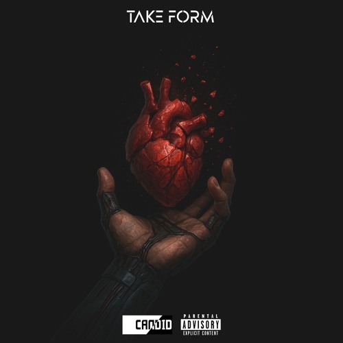 TAKE FORM - PUT THEM IN PLACE