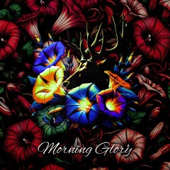 Morning Glory