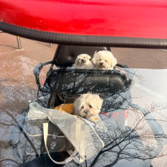 F3 더 무비 🚍👻💥EDM 믹셋 Vol.8