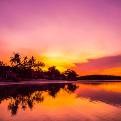 Sunset Vibes