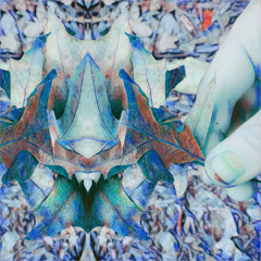 ⎨⊙⎬⯕ᩭ