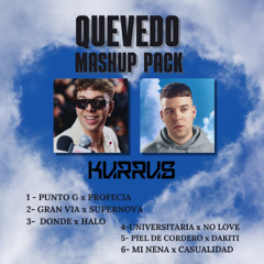 QUEVEDO MASHUP PACK (DJKURRUS)