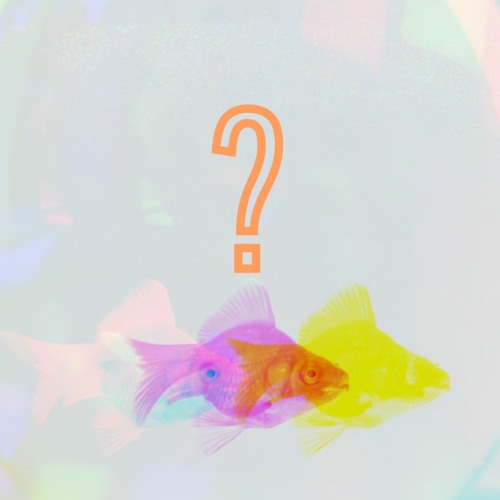 PREVIEW:  Wo Isch De Fisch? (Feat. Galgenbube)
