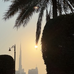 DJ Snake, AlunaGeorge - You Know You Like It  (Afrohouse Remix)