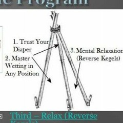 DOCUMENT#1 UNPOTTY TRAINING