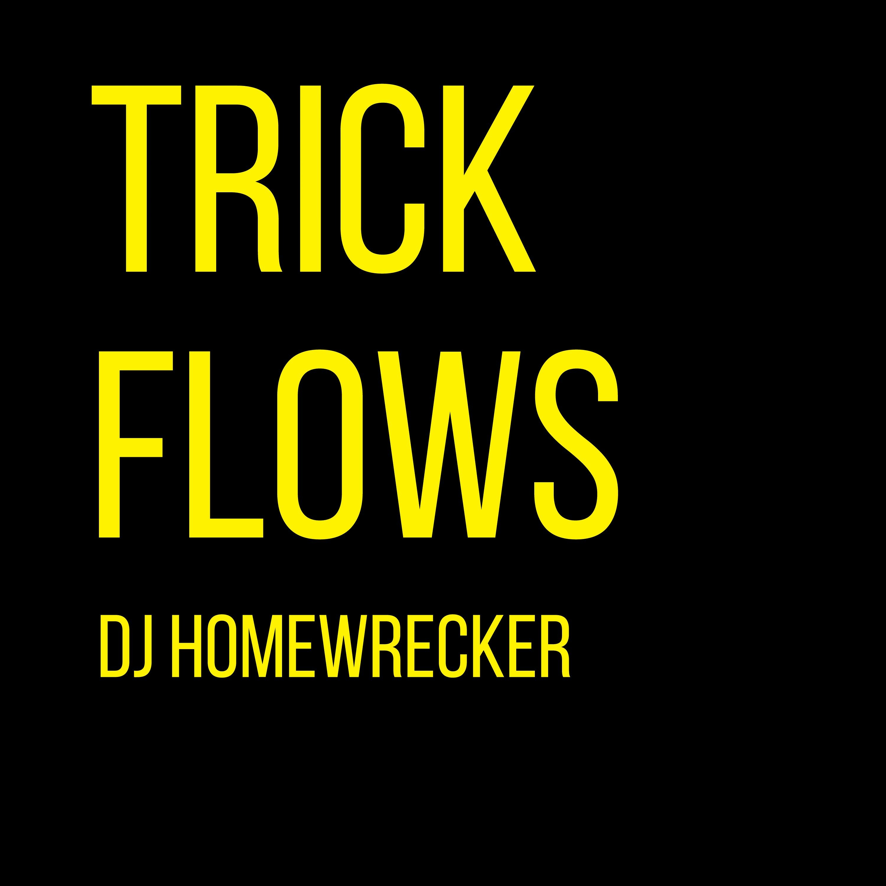 DJ Homewrecker | Brakebeat
