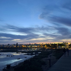 lost in ibiza