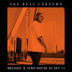 Melodic & Afro House DJ SET #2