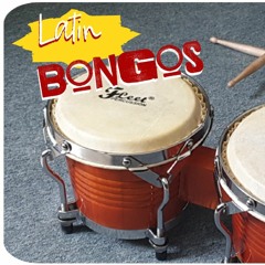 bongo loops in 90 bpm